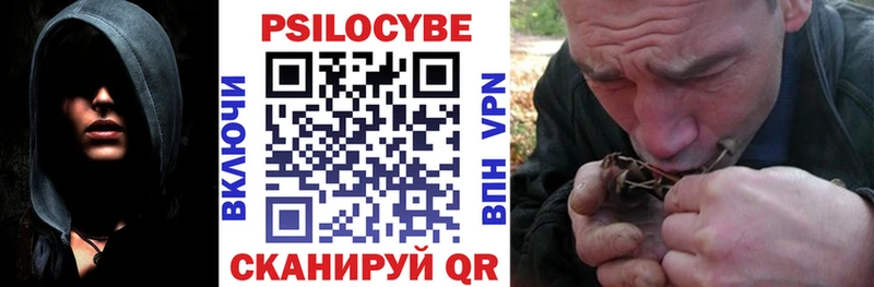 Галлюциногенные грибы мухоморы  ссылка на мегу ссылка  Приморск  где найти  